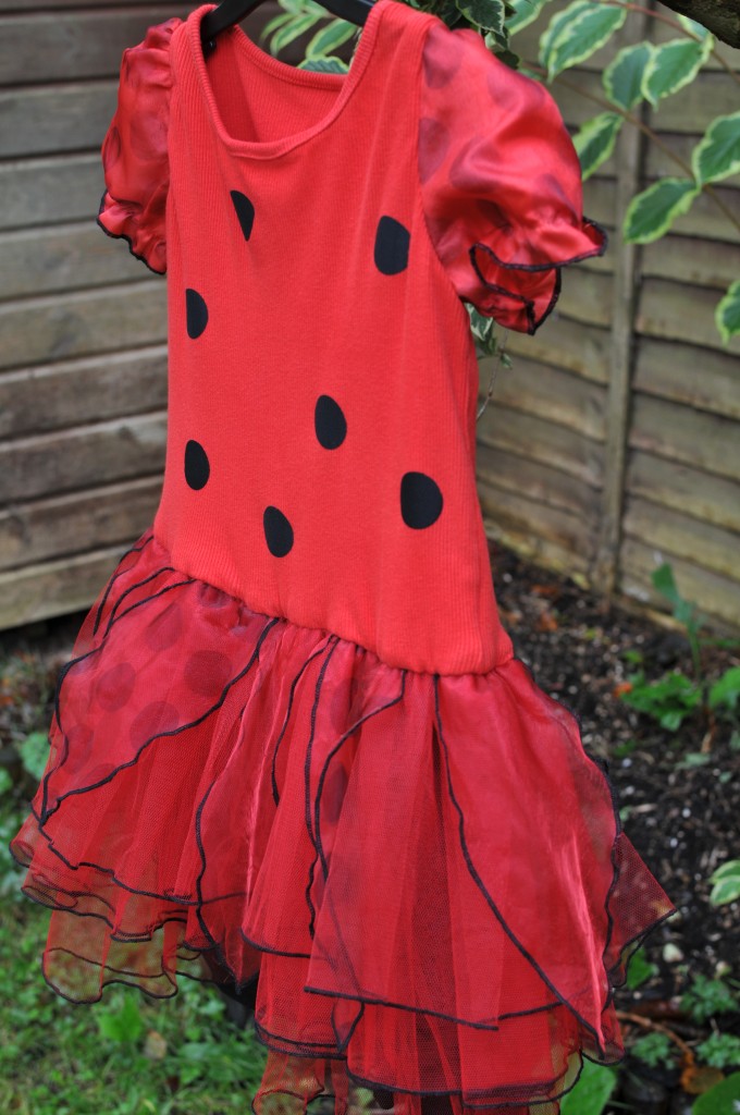 Ladybird dress